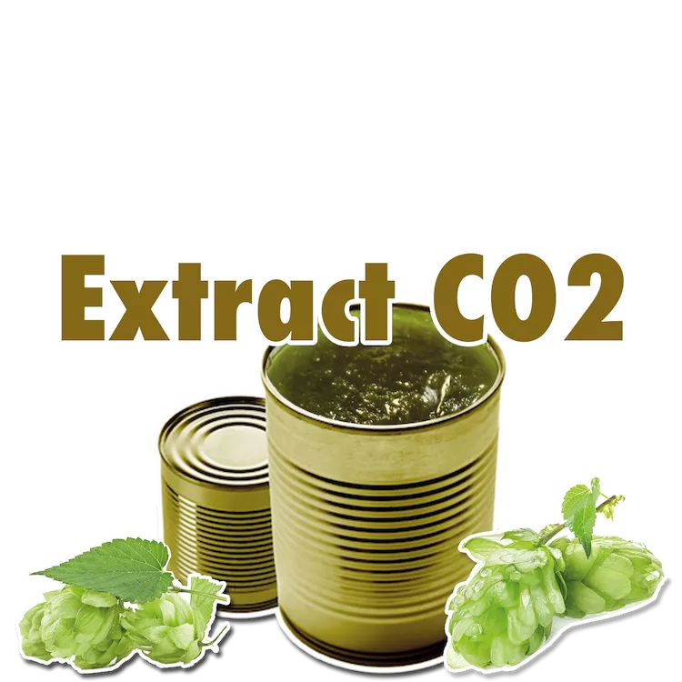 Herkules | CO2-Hopfenextrakt